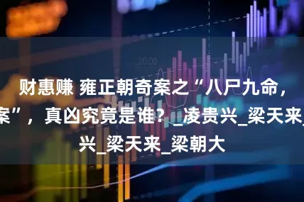 财惠赚 雍正朝奇案之“八尸九命，灭门惨案”，真凶究竟是谁？_凌贵兴_梁天来_梁朝大