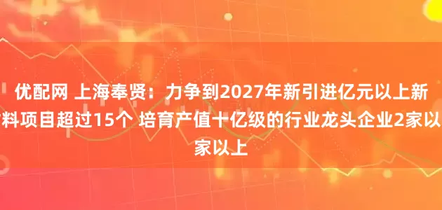 优配网 上海奉贤：力争到2027年新引进亿元以上新材料项目超过15个 培育产值十亿级的行业龙头企业2家以上