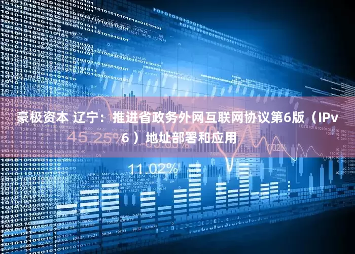 豪极资本 辽宁：推进省政务外网互联网协议第6版（IPv６）地址部署和应用