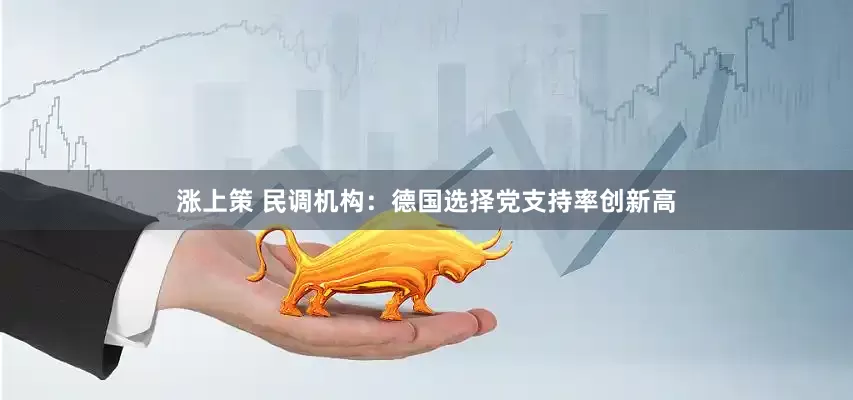 涨上策 民调机构：德国选择党支持率创新高